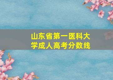 山东省第一医科大学成人高考分数线