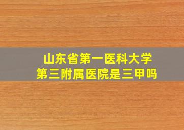 山东省第一医科大学第三附属医院是三甲吗