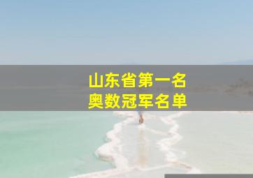 山东省第一名奥数冠军名单