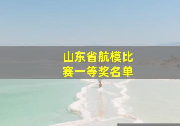 山东省航模比赛一等奖名单