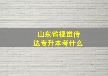 山东省视觉传达专升本考什么