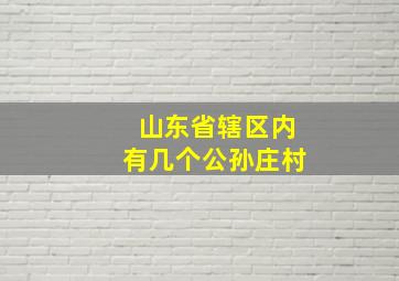 山东省辖区内有几个公孙庄村