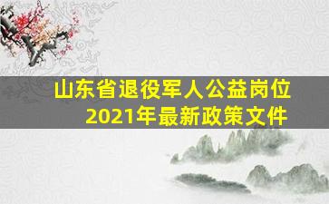 山东省退役军人公益岗位2021年最新政策文件