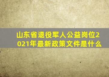 山东省退役军人公益岗位2021年最新政策文件是什么