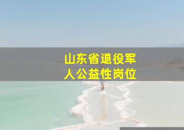 山东省退役军人公益性岗位