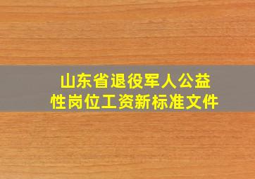 山东省退役军人公益性岗位工资新标准文件