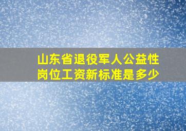 山东省退役军人公益性岗位工资新标准是多少