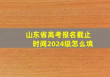 山东省高考报名截止时间2024级怎么填