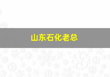 山东石化老总