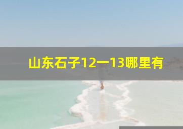 山东石子12一13哪里有