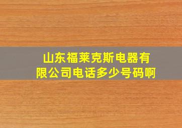 山东福莱克斯电器有限公司电话多少号码啊