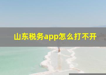 山东税务app怎么打不开