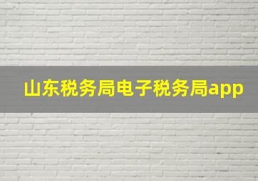 山东税务局电子税务局app