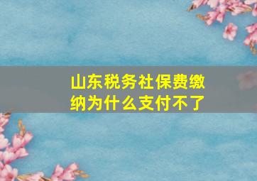 山东税务社保费缴纳为什么支付不了