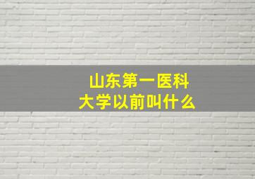 山东第一医科大学以前叫什么