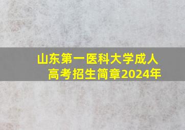 山东第一医科大学成人高考招生简章2024年