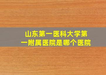 山东第一医科大学第一附属医院是哪个医院