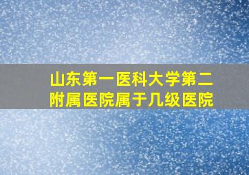 山东第一医科大学第二附属医院属于几级医院