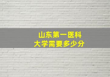 山东第一医科大学需要多少分