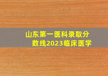 山东第一医科录取分数线2023临床医学