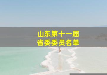 山东第十一届省委委员名单