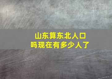 山东算东北人口吗现在有多少人了