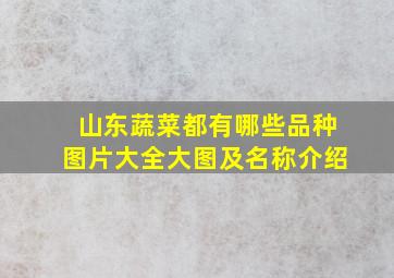 山东蔬菜都有哪些品种图片大全大图及名称介绍