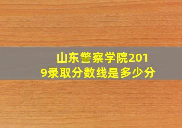 山东警察学院2019录取分数线是多少分