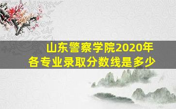 山东警察学院2020年各专业录取分数线是多少