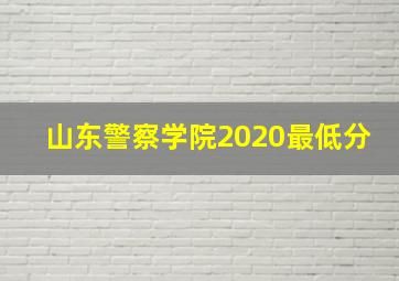 山东警察学院2020最低分