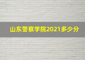 山东警察学院2021多少分