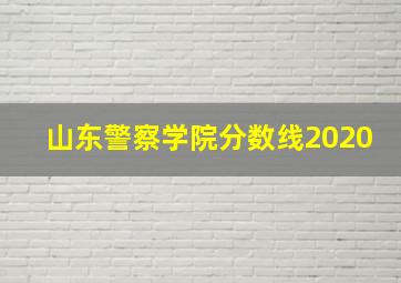 山东警察学院分数线2020