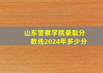 山东警察学院录取分数线2024年多少分