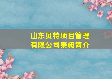 山东贝特项目管理有限公司秦昶简介