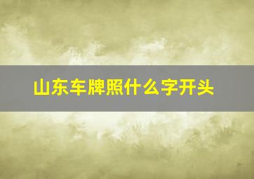 山东车牌照什么字开头