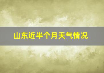 山东近半个月天气情况