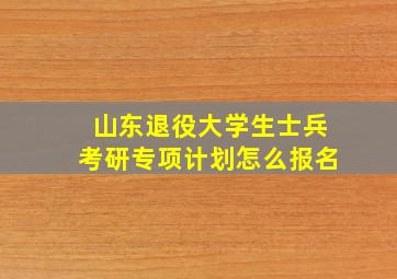 山东退役大学生士兵考研专项计划怎么报名