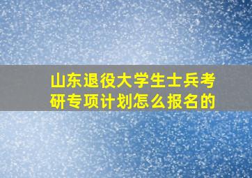 山东退役大学生士兵考研专项计划怎么报名的