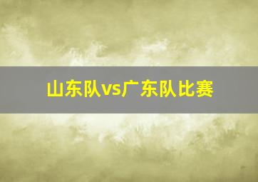 山东队vs广东队比赛