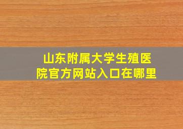 山东附属大学生殖医院官方网站入口在哪里