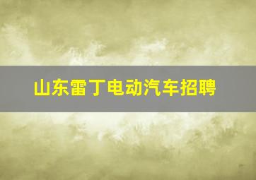 山东雷丁电动汽车招聘