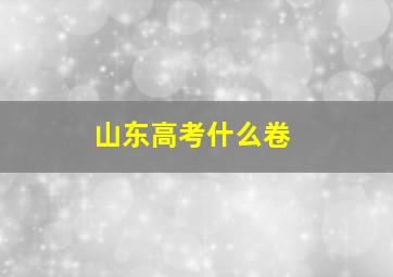 山东高考什么卷