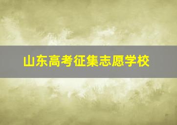 山东高考征集志愿学校