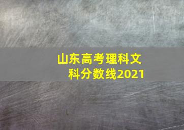 山东高考理科文科分数线2021