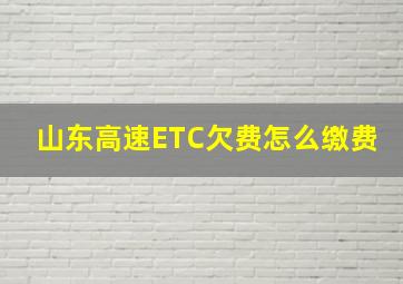 山东高速ETC欠费怎么缴费