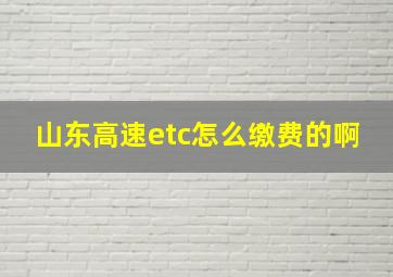 山东高速etc怎么缴费的啊