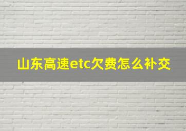 山东高速etc欠费怎么补交