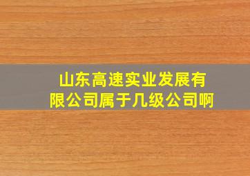 山东高速实业发展有限公司属于几级公司啊