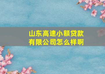 山东高速小额贷款有限公司怎么样啊