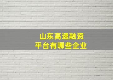 山东高速融资平台有哪些企业